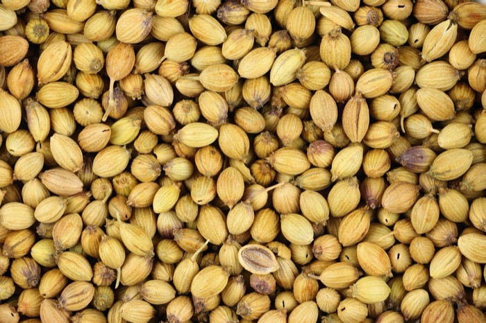 Dried coriander seeds heaped close to the lens, round and ridged, in soft side light.